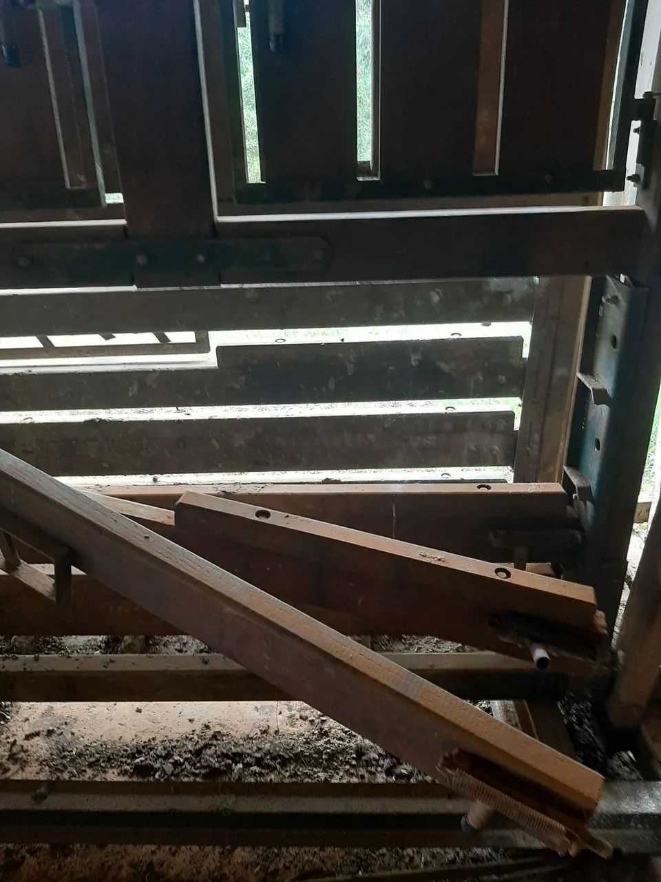 Balança com brete para gado - Foto 5