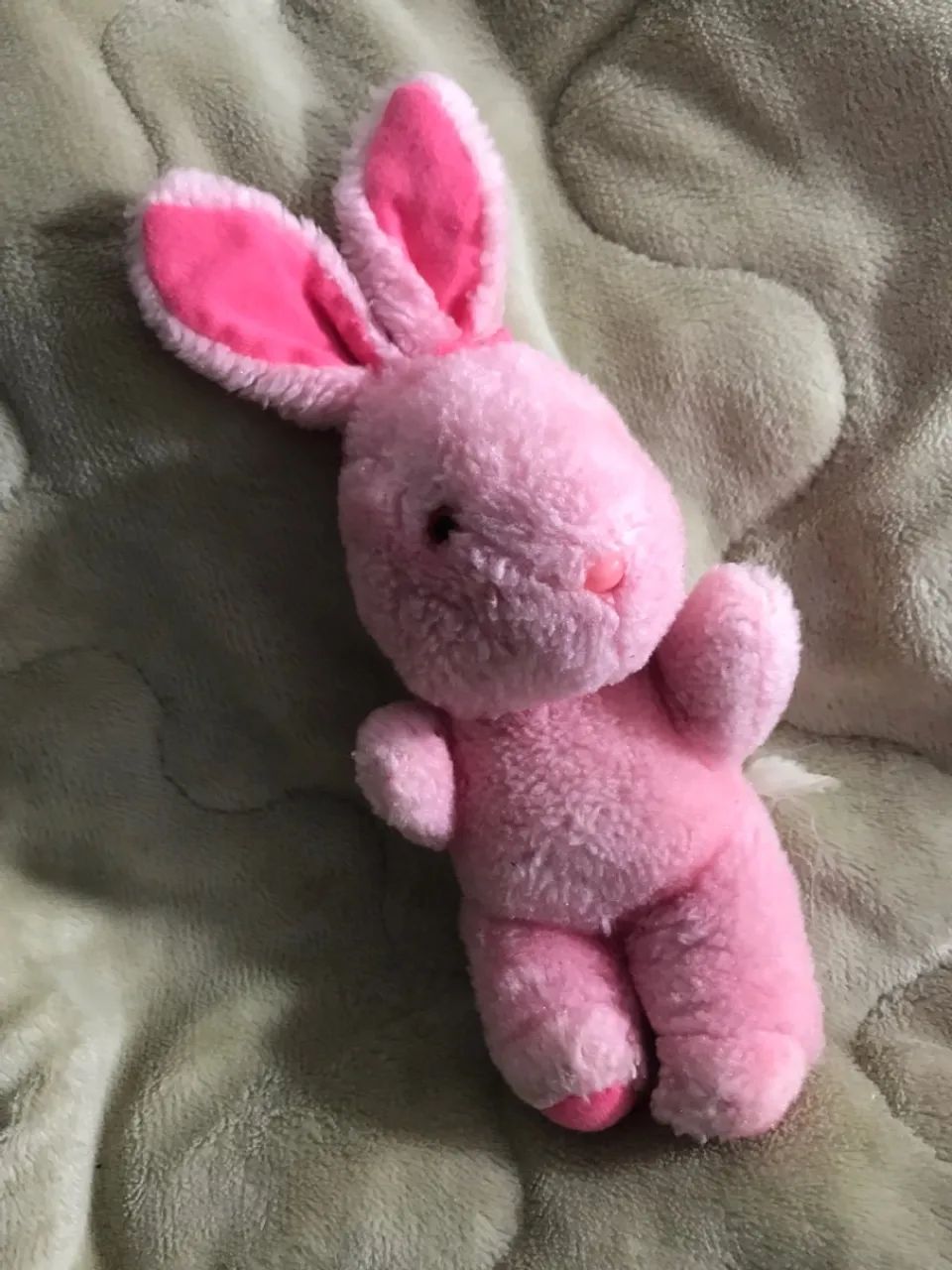 Coelho rosa - Foto 3