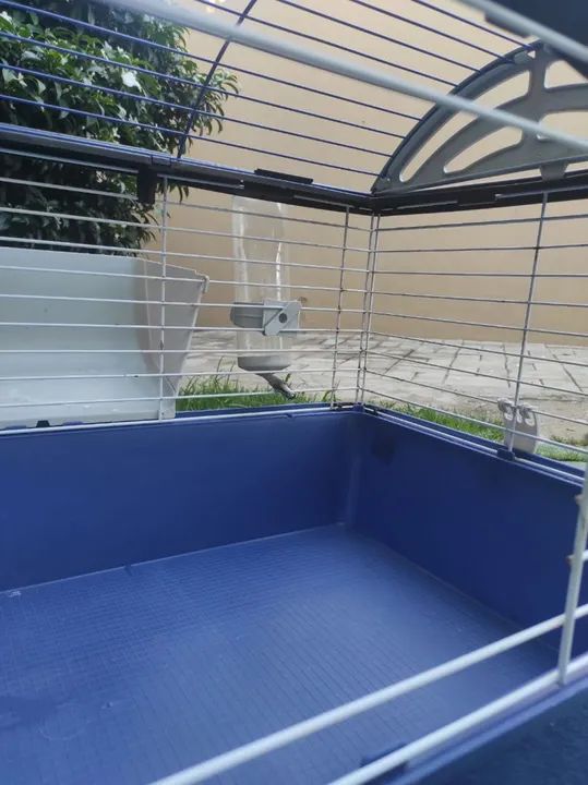 Gaiola p/ Coelhoes, Porquinho da Índia, roedores. - Foto 5