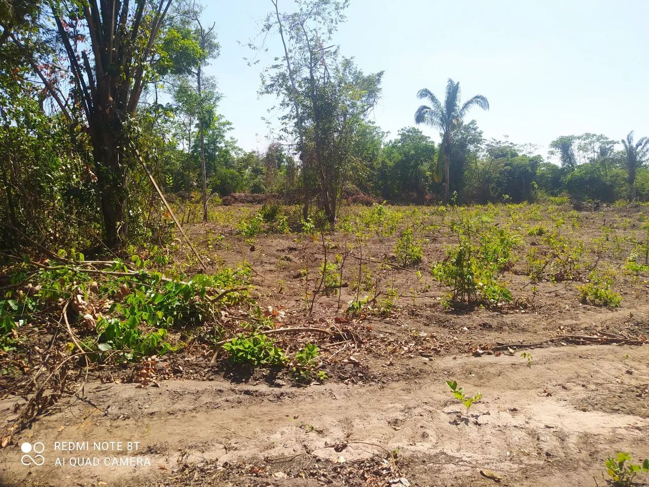 VENDO 5 LOTES SÍTIO NOVO TOCANTINS - Foto 3