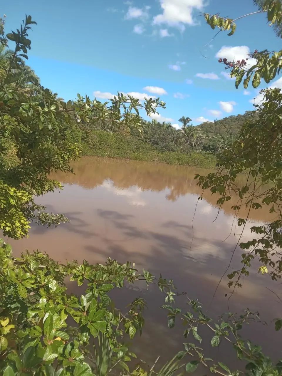 Fazenda Sertão Verde - MA, 72 ha - Foto 2