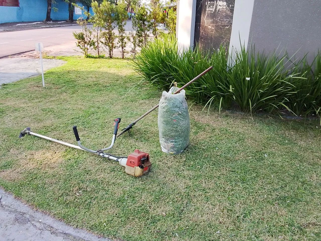 Limpeza de jardim e Roçado interessado no chat  - Foto 3