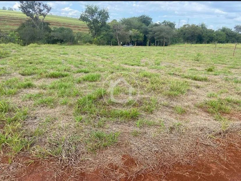 TERRENO PARA CHACARA 1200 - Foto 3