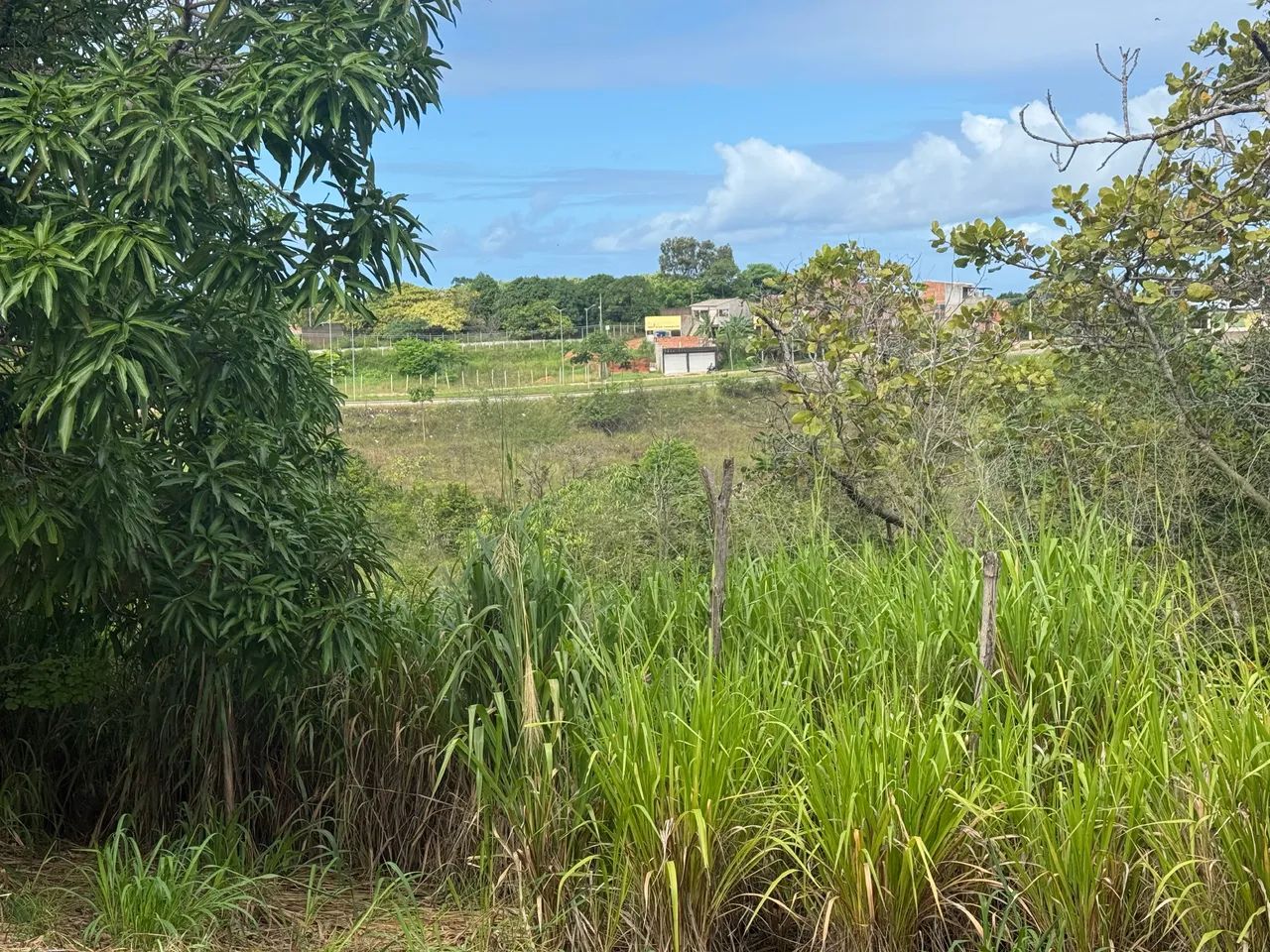 Vendo lote em Guaxuma  - Foto 5