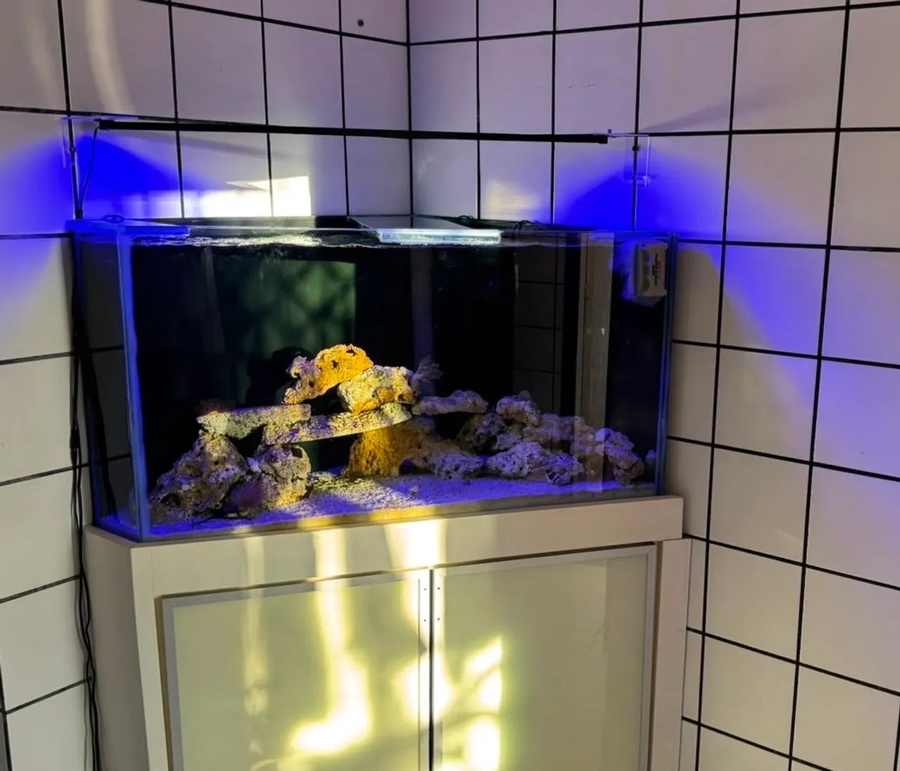 AQUÁRIO DE 492 LITROS COM SUMP- LEIA DESCRIÇÃO EM ANÚNCIO  - Foto 3