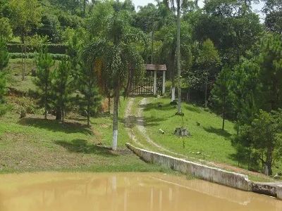 vendo sítio em são lourenço da serra  - Foto 2