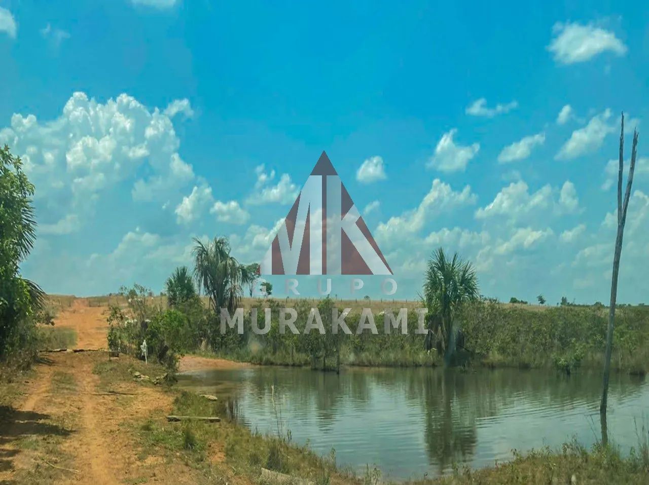 FAZENDA - PARANATINGA - MATO GROSSO - Foto 4