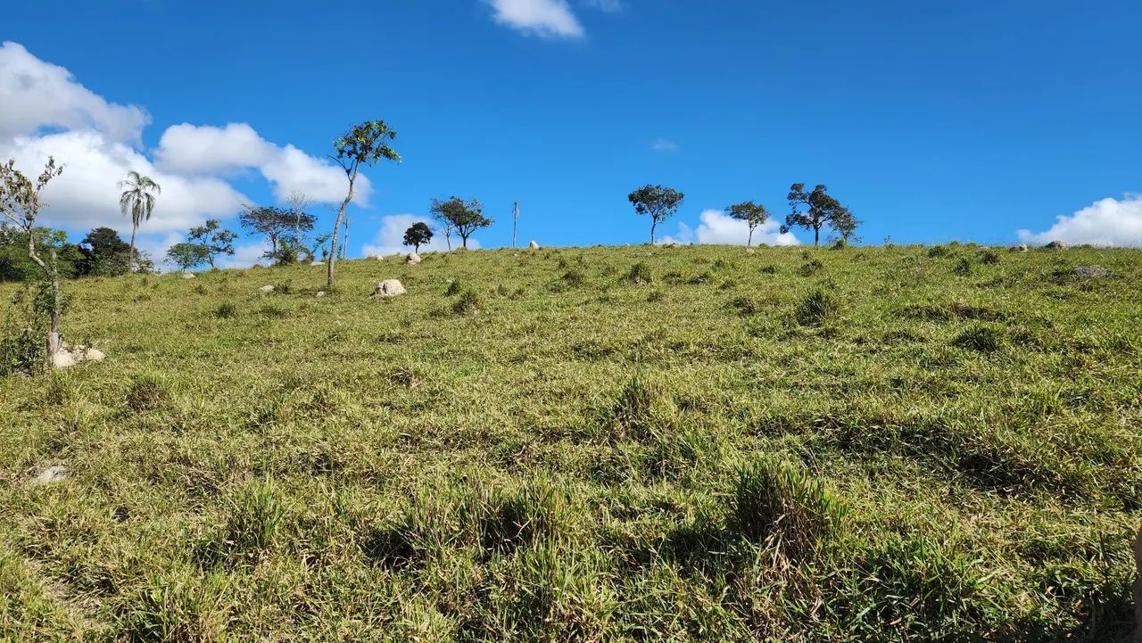Terreno com pastagem formada Bonfim/MG