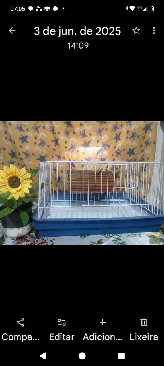 Gaiola De Porquinho Índia em Ótimo estado  - Foto 3