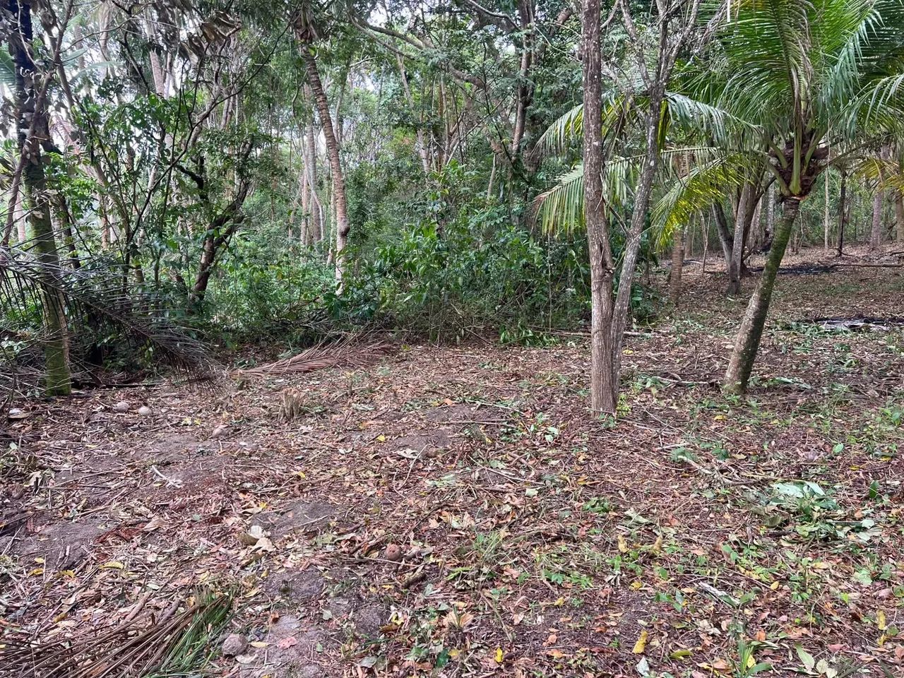 Imperdível  - Foto 4