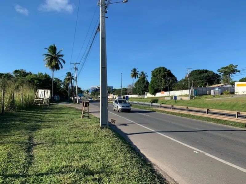 AREA COMERCIAL em CAMAÇARI - BA, CATU DE ABRANTES (ABRANTES) - Foto 2