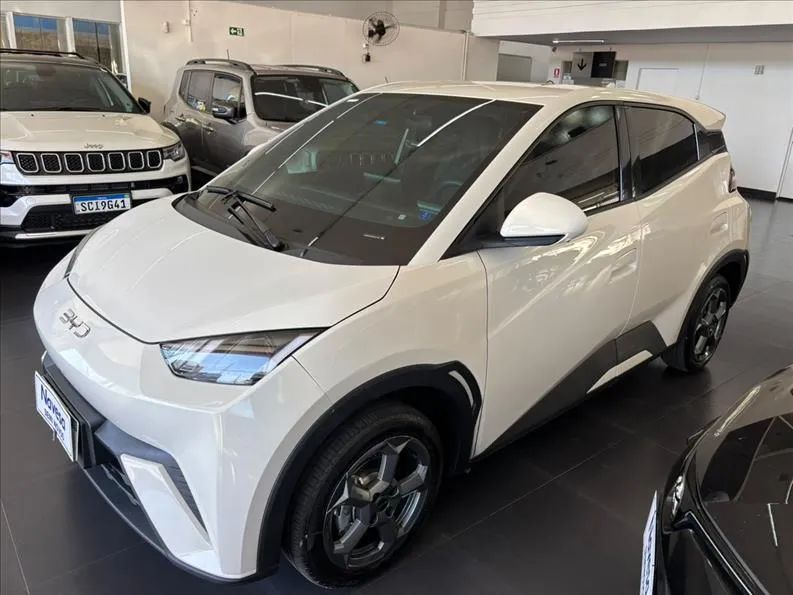 BYD Dolphin Mini (Elétrico) 2025