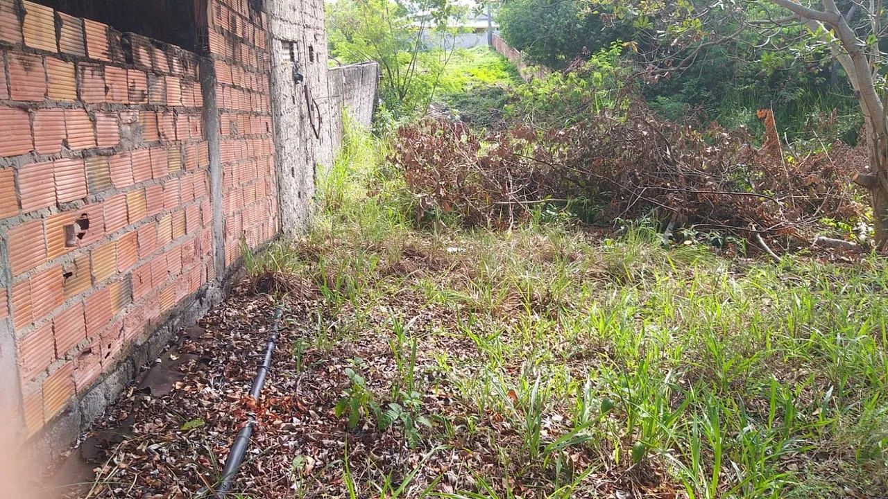 Terreno em monte gordo  - Foto 4