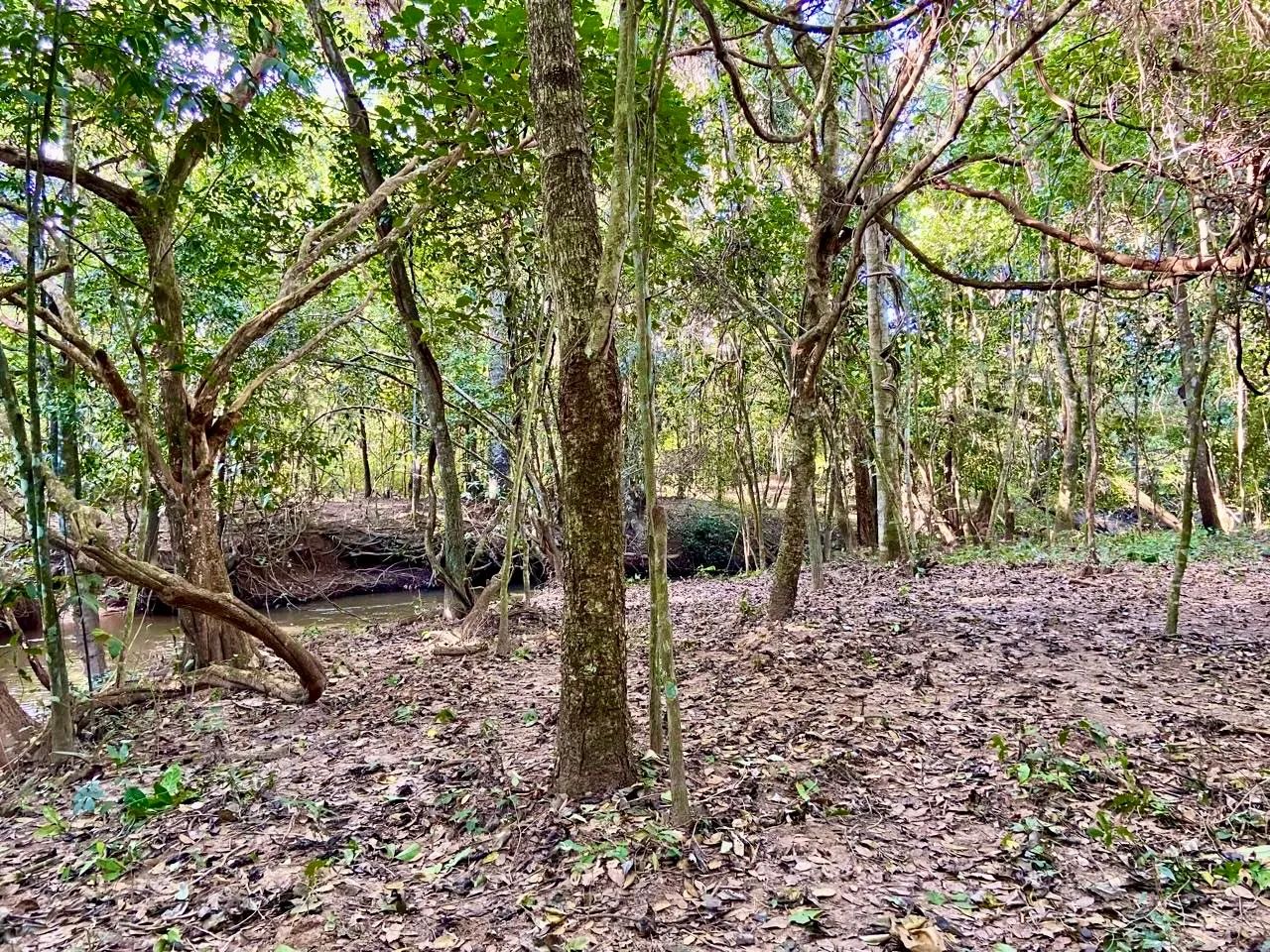 Chácara às margens do RIO URU - (a vista ou parcelada) - Foto 2