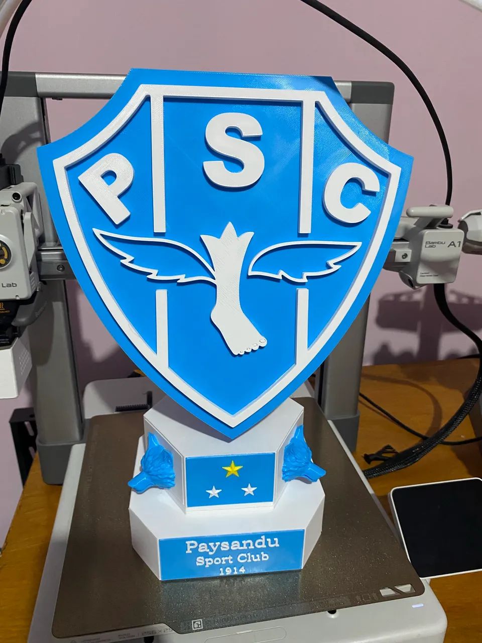 Escudo clube 
