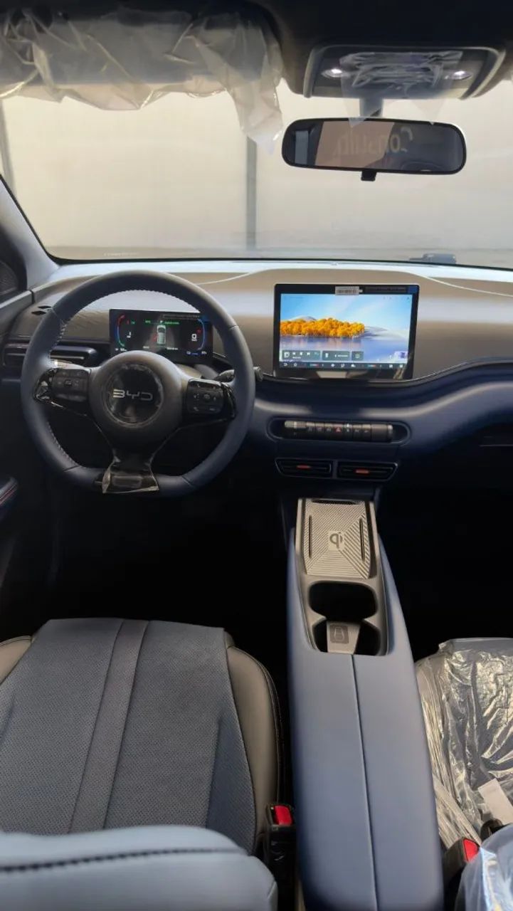BYD Dolphin GS (Elétrico) 2027 - Foto 4