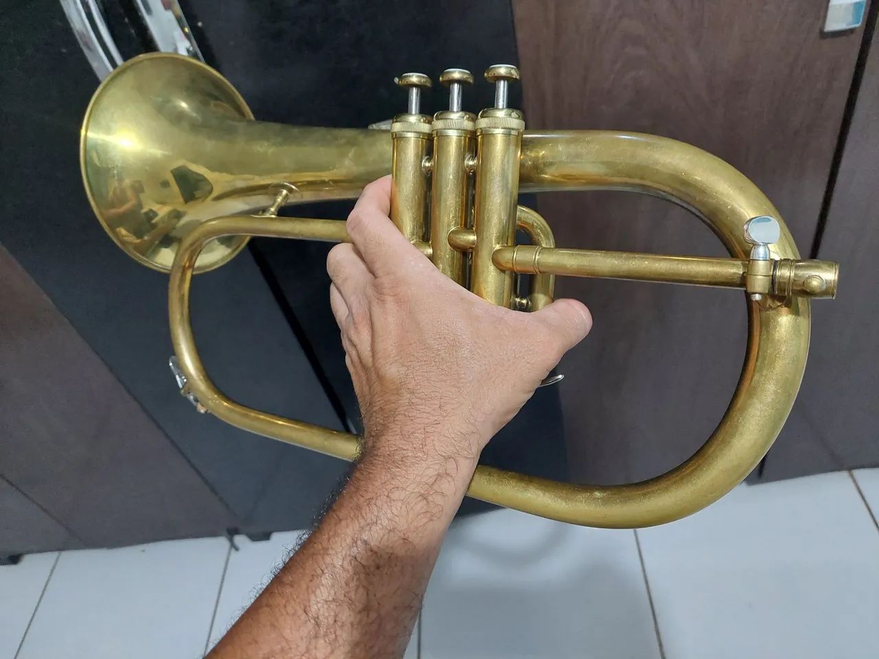 Flugelhorn Michael 