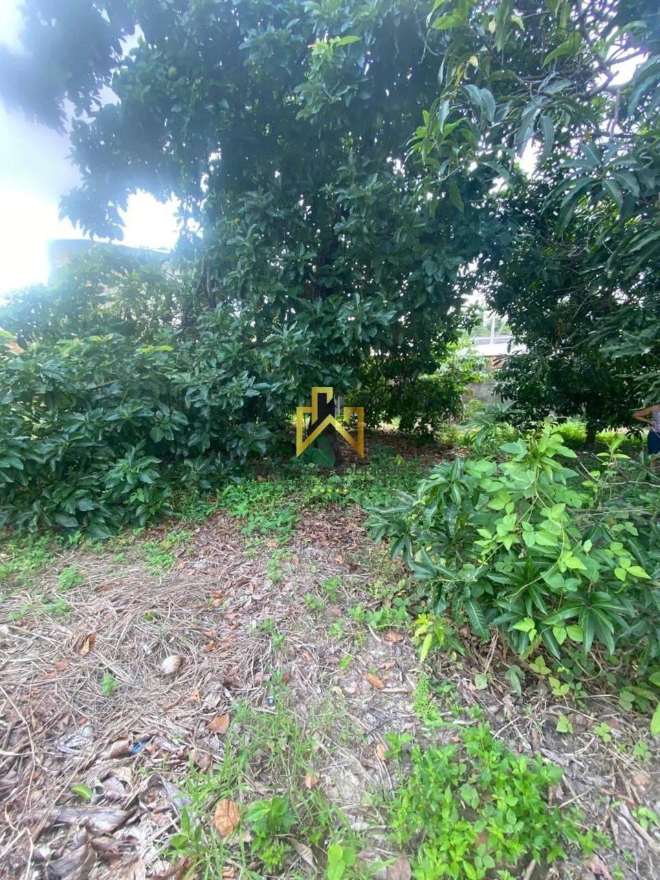 Lote de Oportunidade no Copacabana - Foto 3