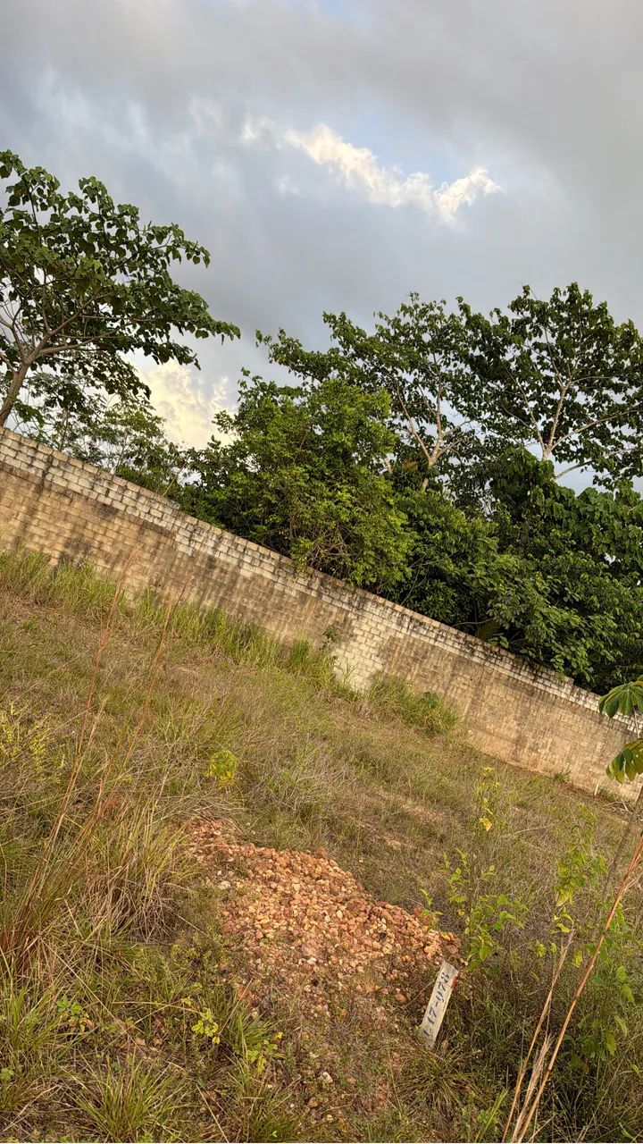 Bougainville Aug. MONT.- REPASSE  - Foto 3