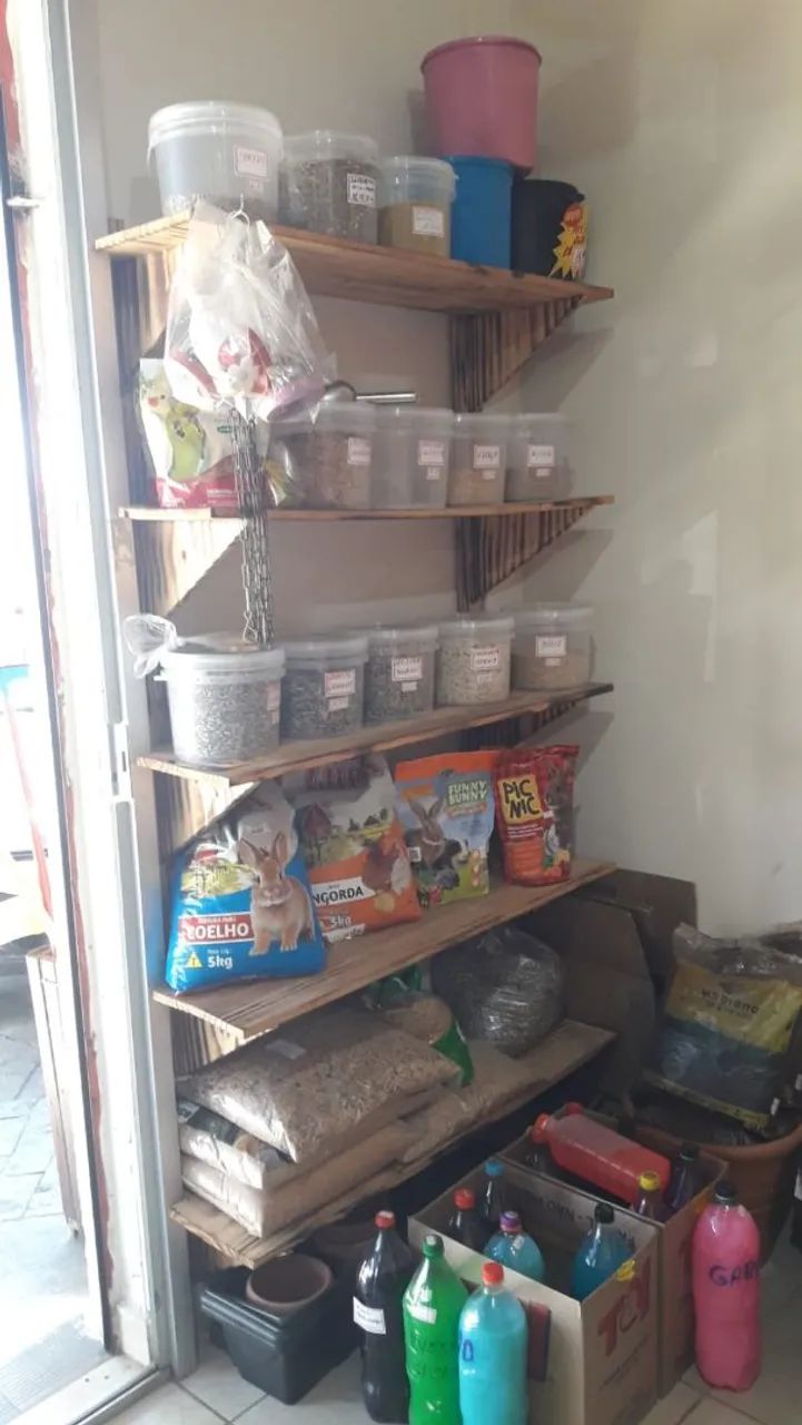 Vendo Petshop bem montado  - Foto 5