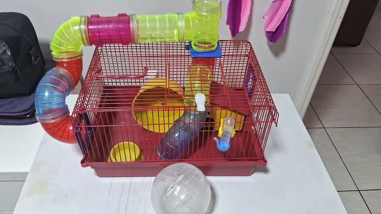 CASINHA PARA HAMSTER - Foto 2