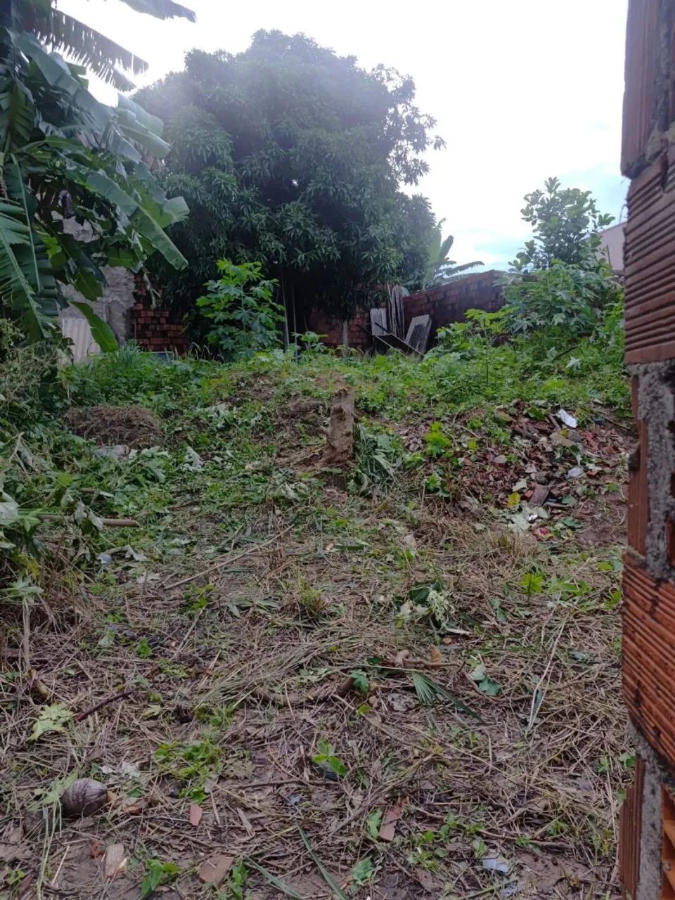 Vendo este terreno, ótimo localização  - Foto 2
