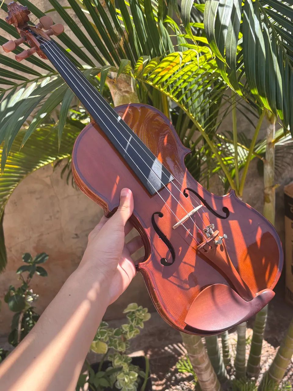 Violino VE 441 
