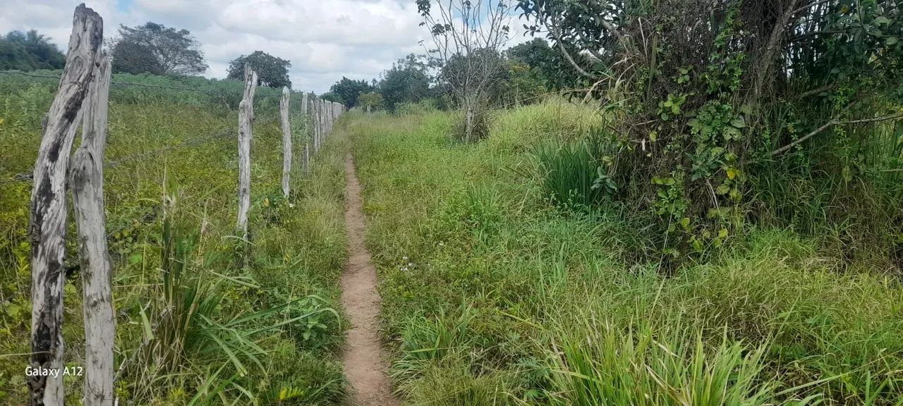 ÓTIMO TERRENO NO SÍTIO TABULEIRO COM MAIS DE UMA HECTARIA. - Foto 5