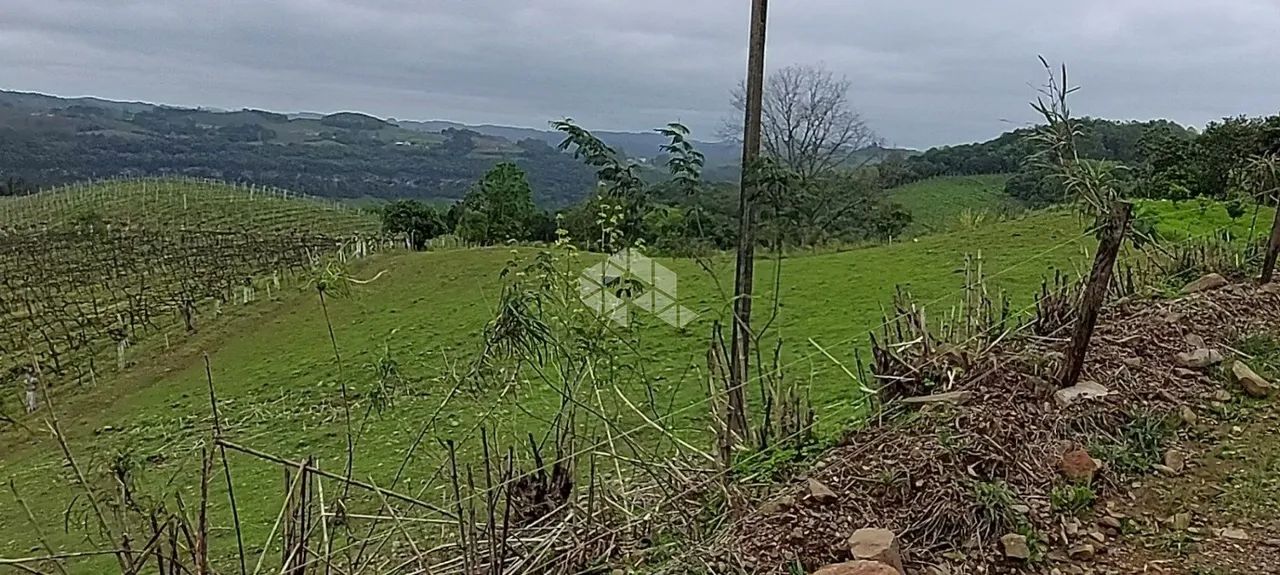 Terra no interior de Monte Belo do Sul - Foto 4
