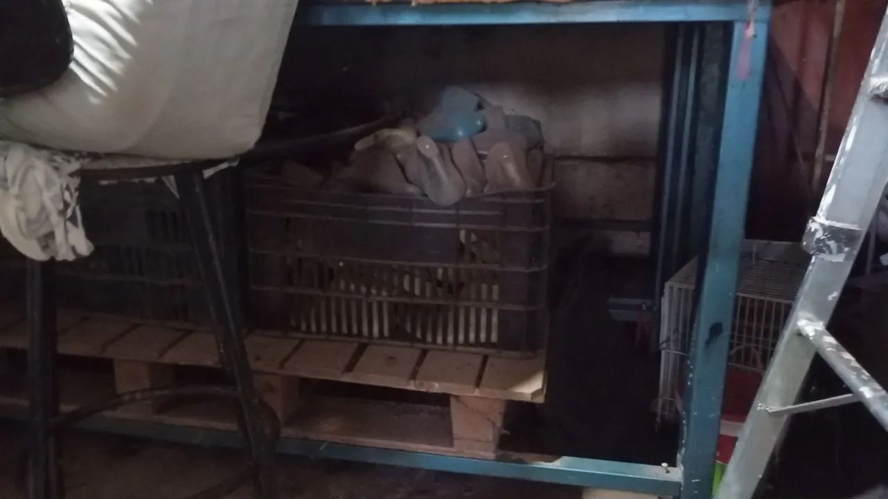 Máquinas e formas - Foto 4