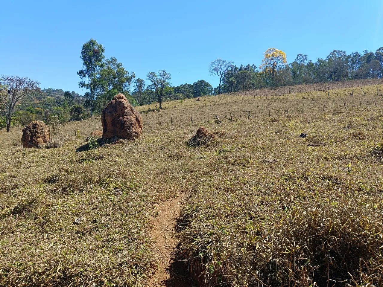 TERRENO 4,7 HC EM BONFIM  - Foto 5
