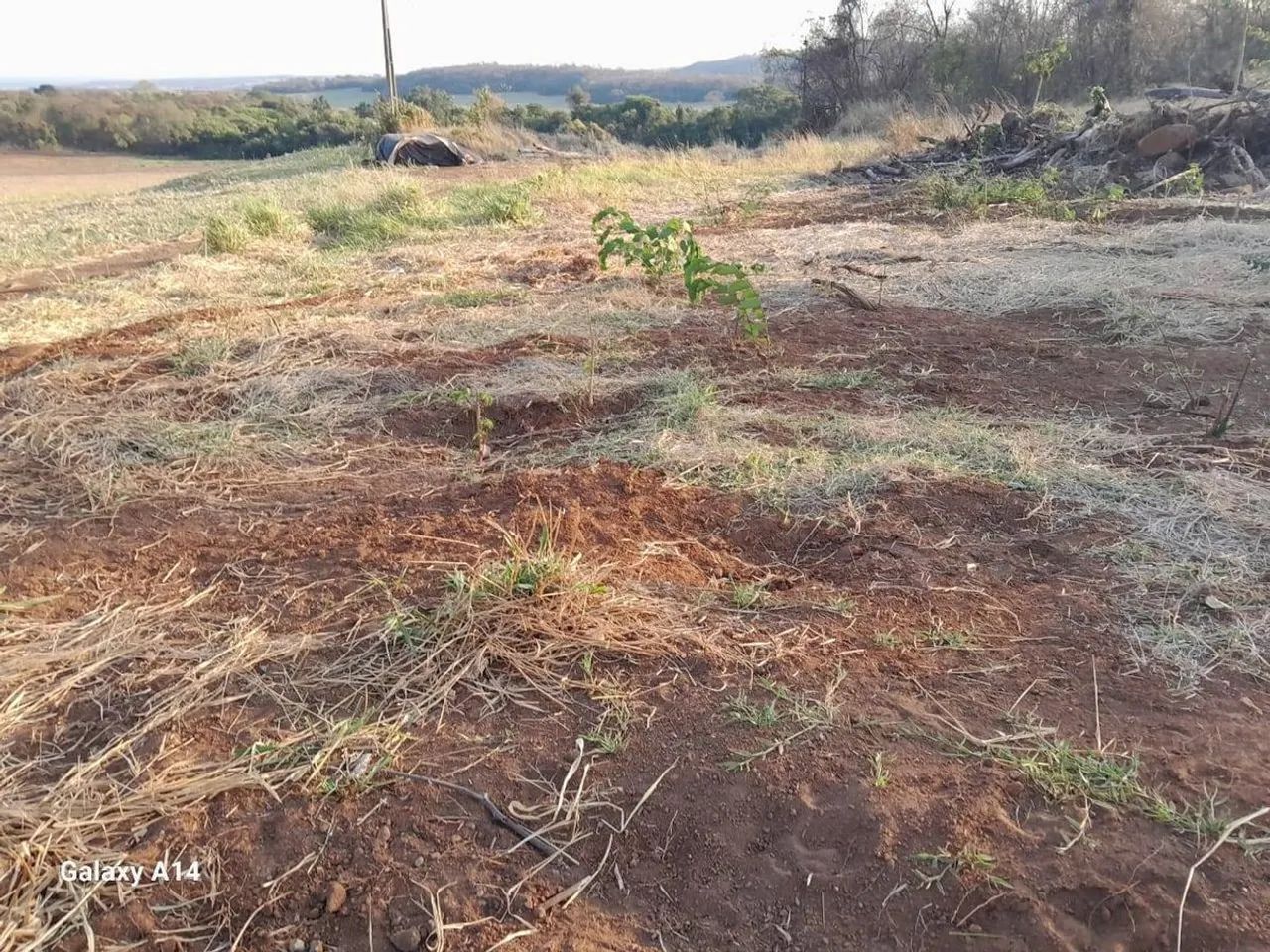 Terreno à Venda, Centro - Bandeirantes
