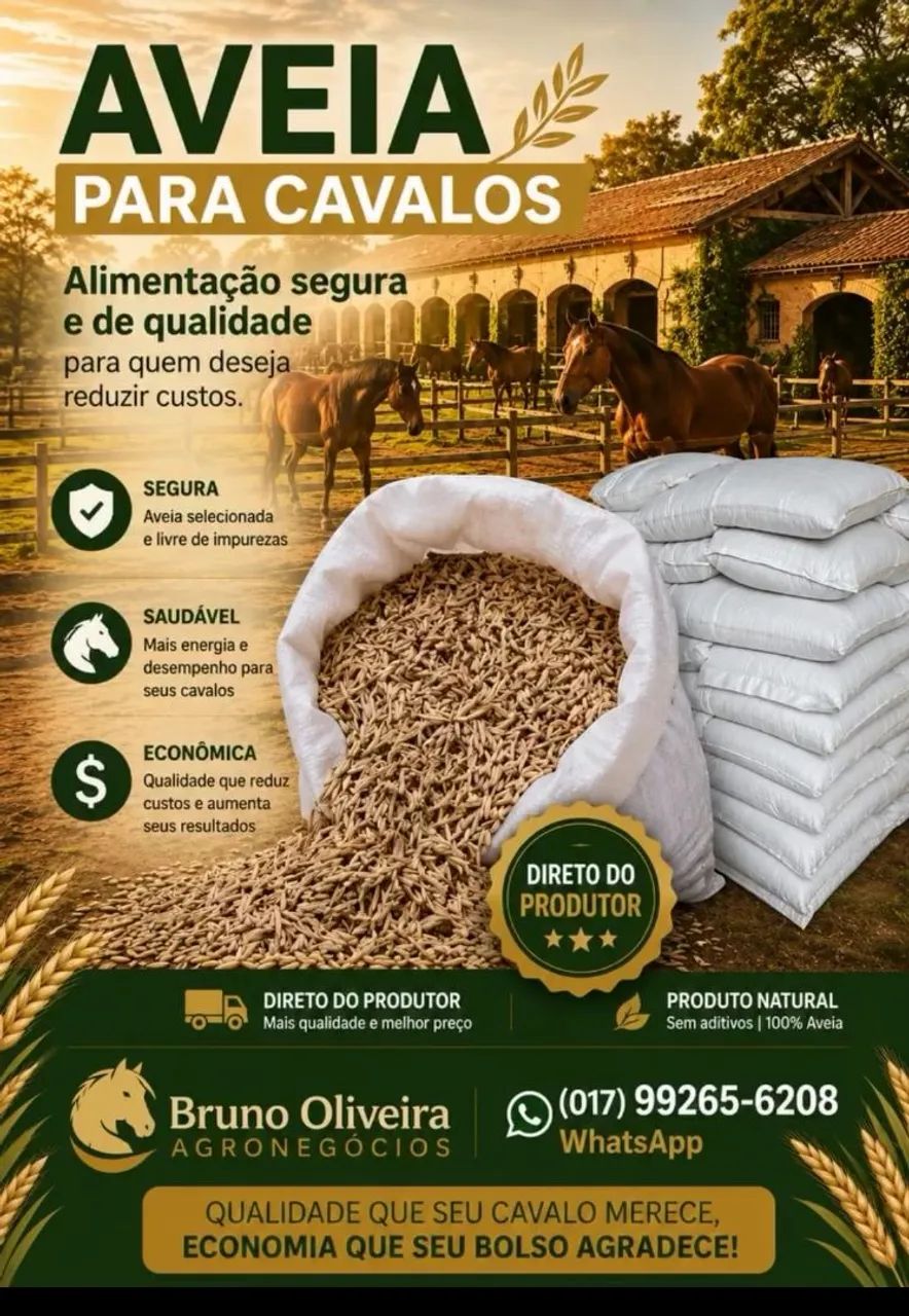Aveia p cavalos saco 30kg - Foto 2