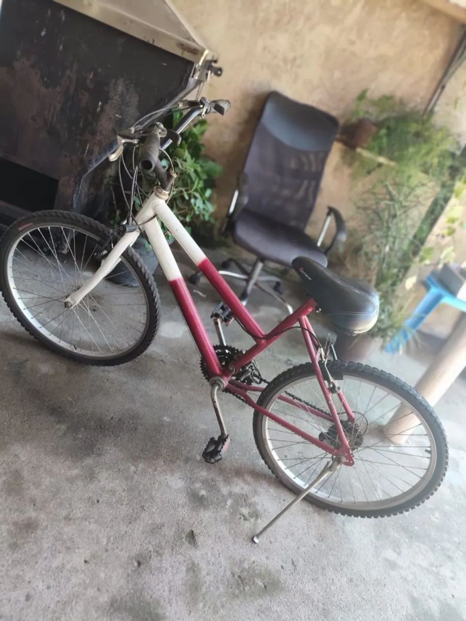 Bicicleta