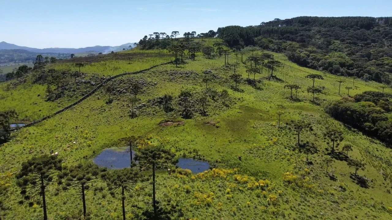 Terreno com 20 hectares em Urupema - Foto 3
