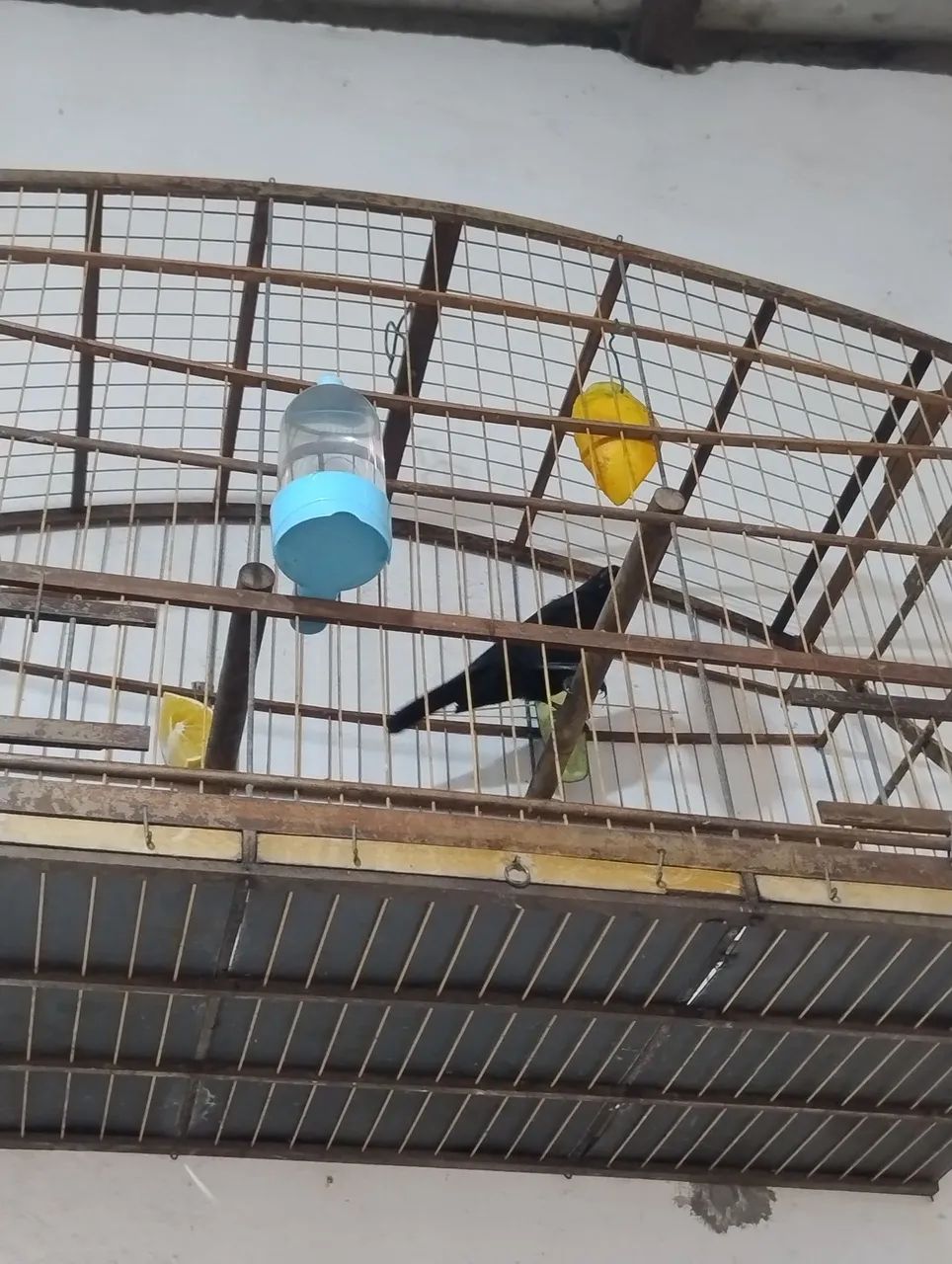 Vendo essas duas gaiolas boas  - Foto 3