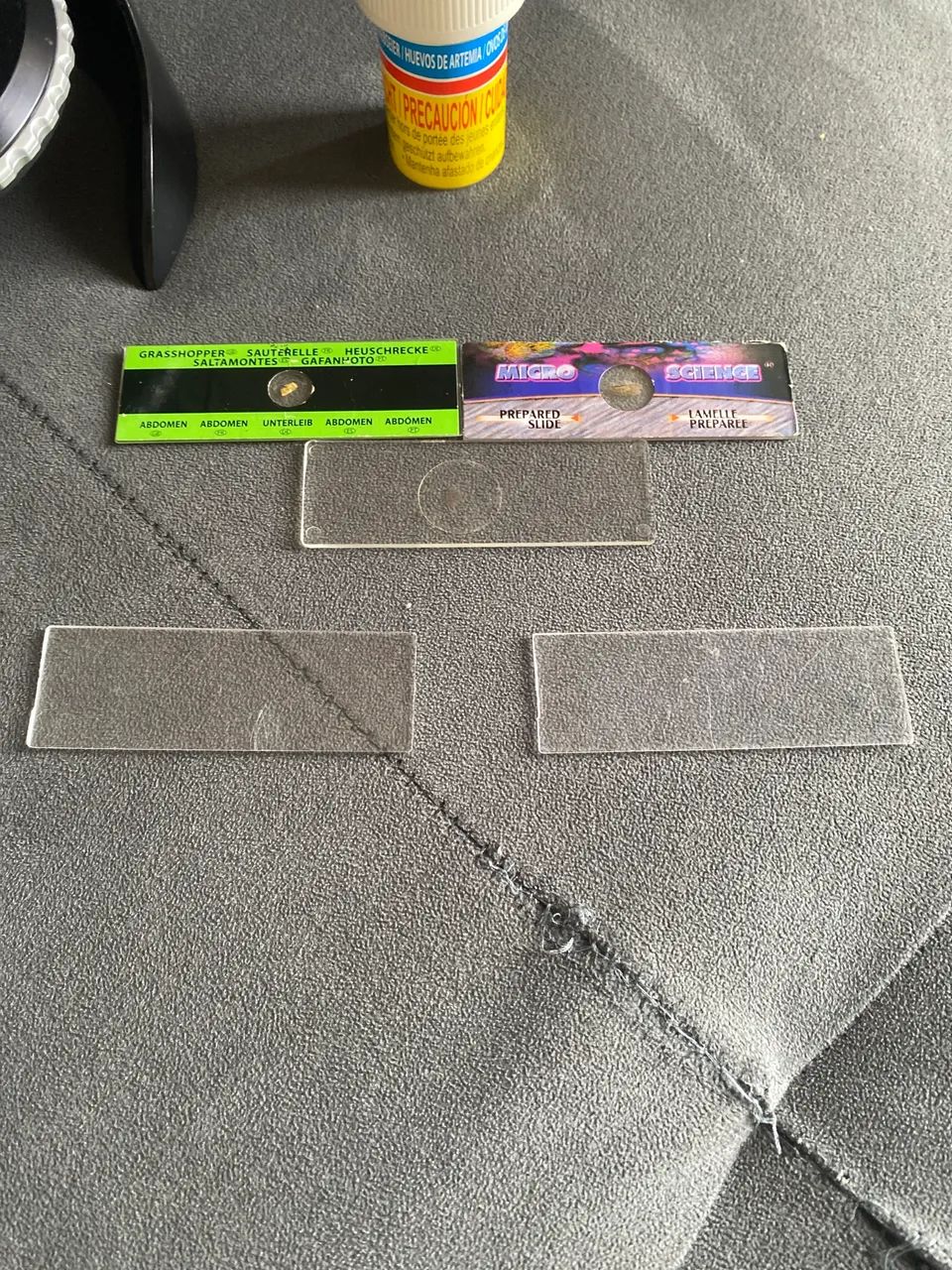 Microscópico - Foto 2
