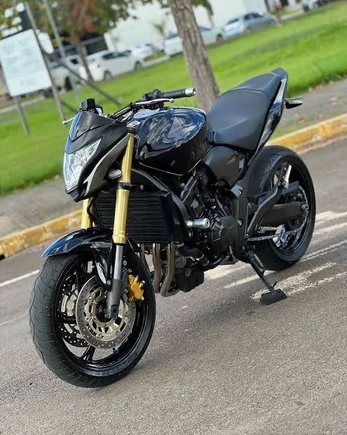Hornet 600f 2013  - Foto 3