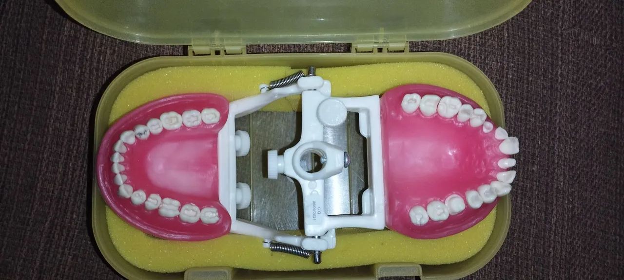 Manequim de Odonto  - Foto 3