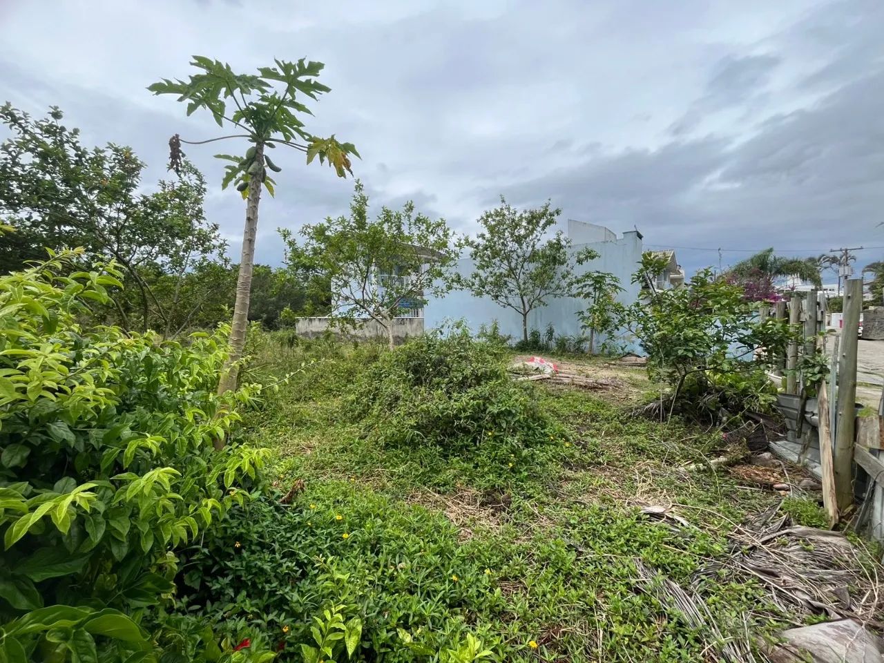 Terreno em Canasvieiras com 450 m² Plano e Pronto para Construir - Foto 4