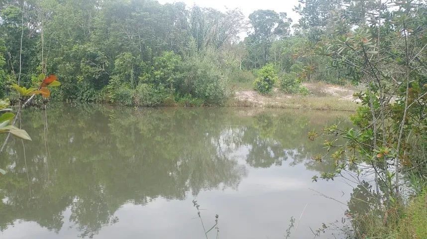 Loteamento - Nascente - Represa - Sauípe - Foto 3