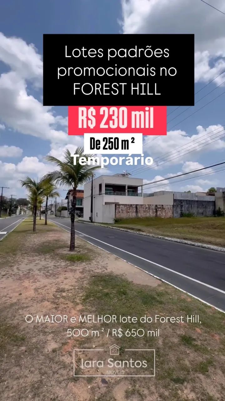 Lotes planos 100% documentados desmatados, prontos pra construir - Foto 2
