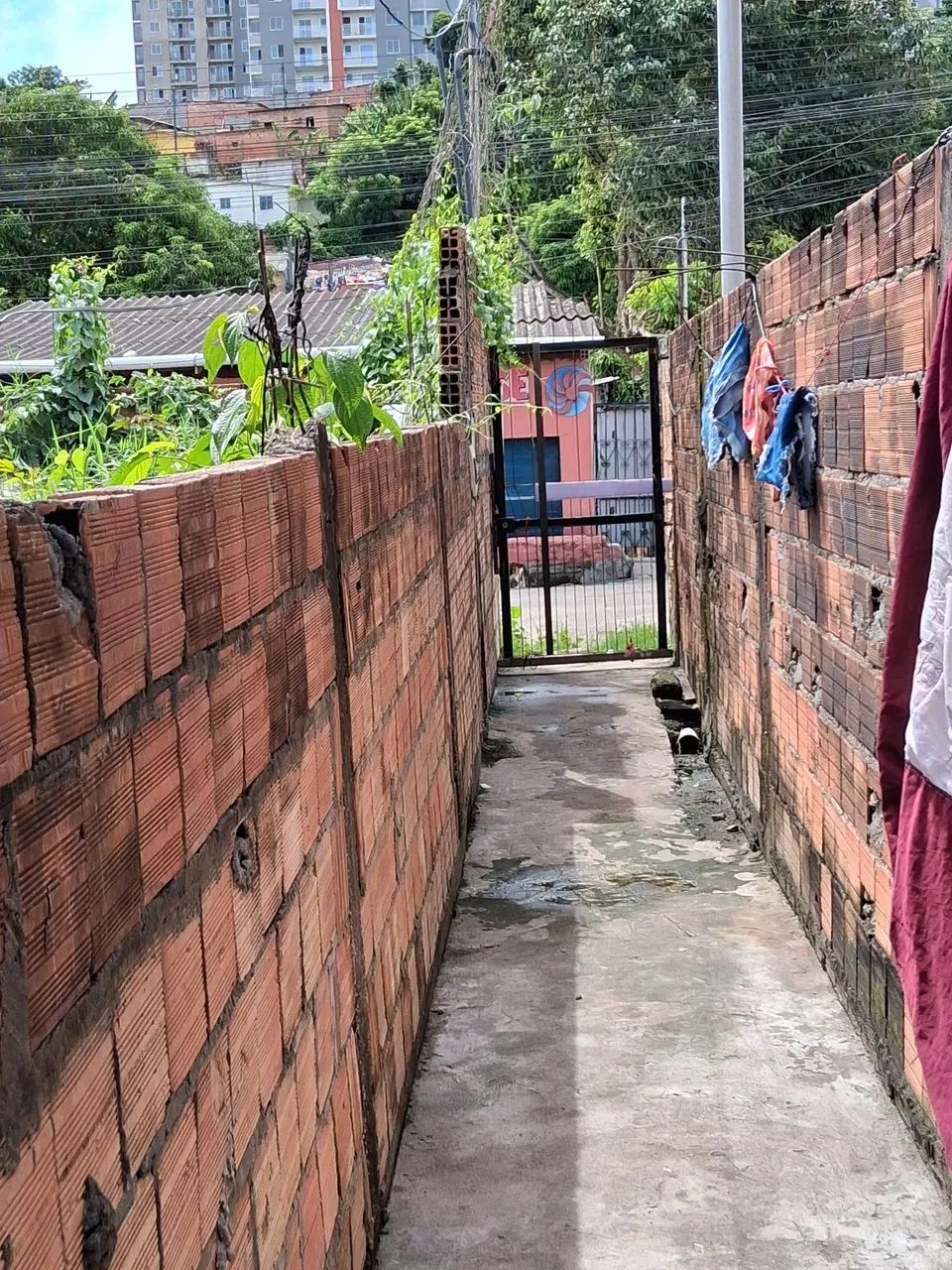 Foto - Manaus - Cidade Nova
