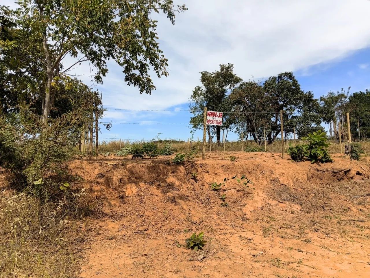 Terreno com solo Fértil em Caldas novas - Foto 4