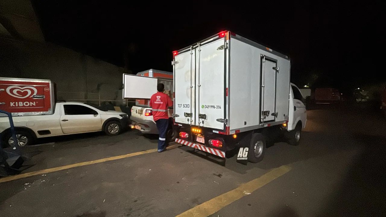 Transportes Secos e Congelados ? - Foto 4