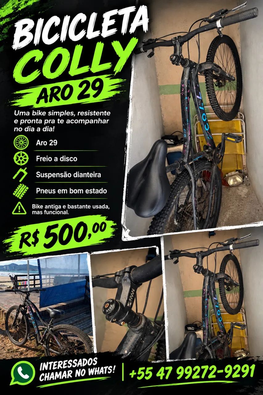 Bicicleta colli aro 29 