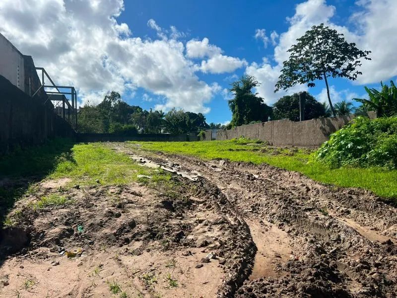 Terreno à venda em Apipucos, 1127 m² - Foto 5