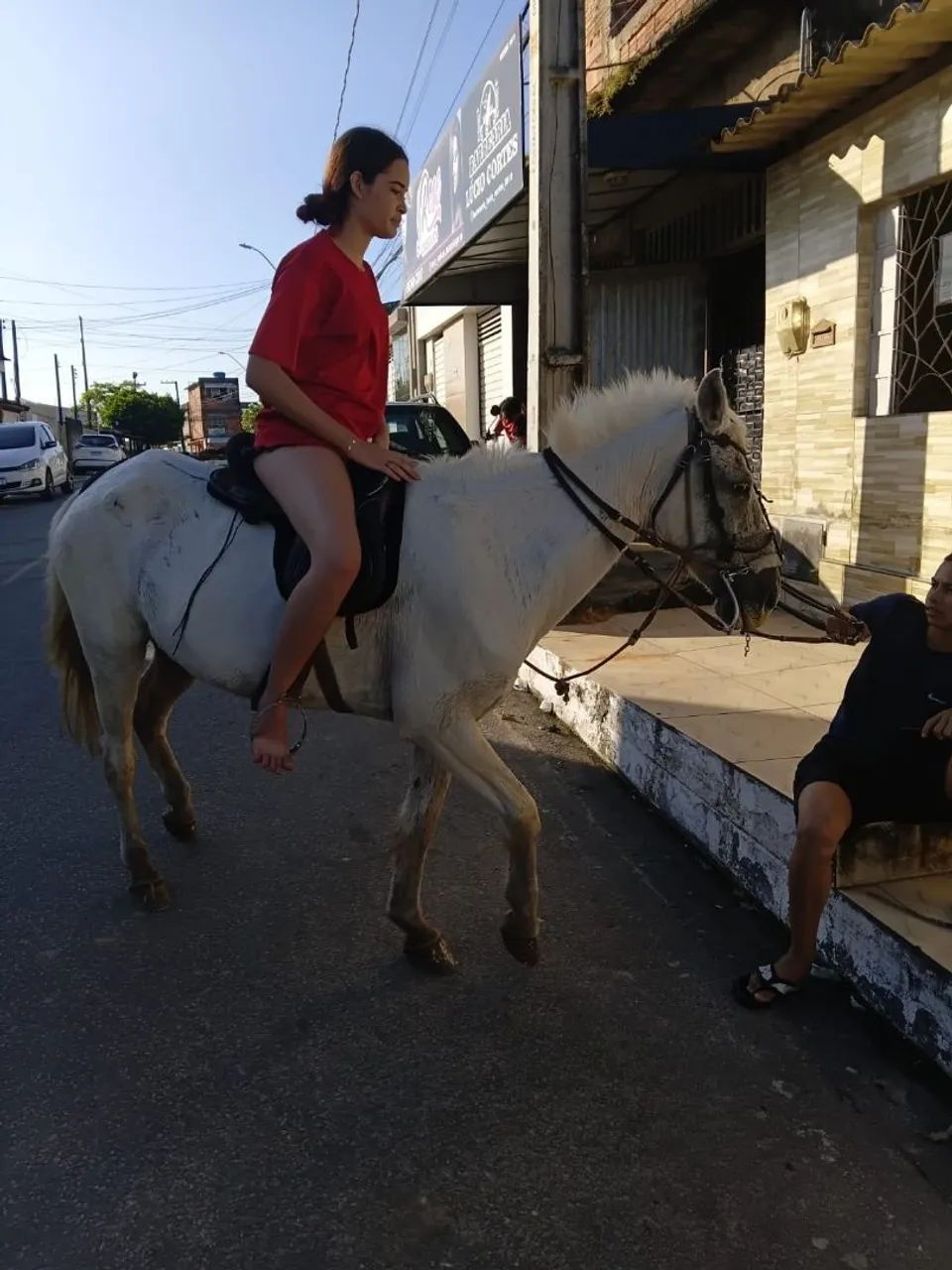 VENDO CAVALO - Foto 3