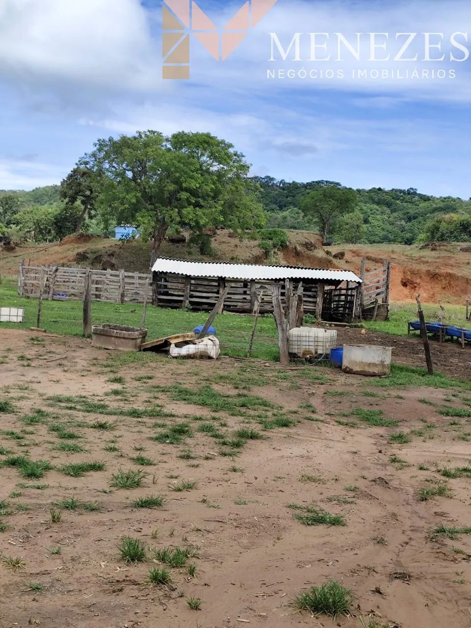 À venda sítio em Pedregulho. - Foto 4