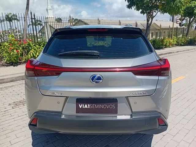 Lexus UX-250h Luxury 2.0 16V Aut.(hybrid), foto 5 de 14